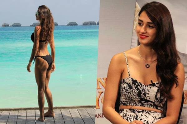 Disha Patani Troll
