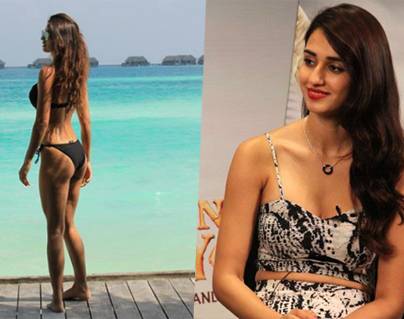Disha Patani Troll