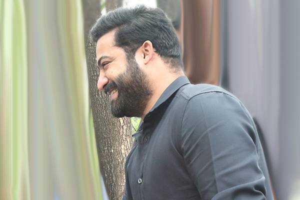 NTR Turning Bollywood Kind of Hero 