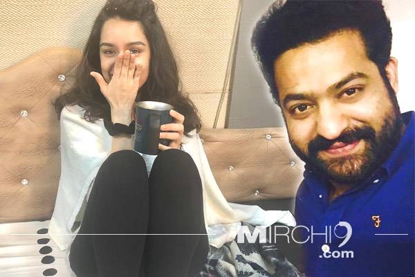 Shraddha Kapoor to Pitch in for Jr NTR