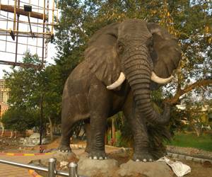 New-Park-Under-Construction-Near-Bus-Stand-Vijayawada-Photos