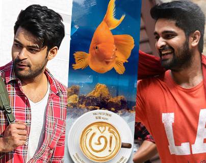 US-BO-Awe,-Chalo,-Tholi-Prema---Will-2017-Trend-Continue-In-2018-As-Well
