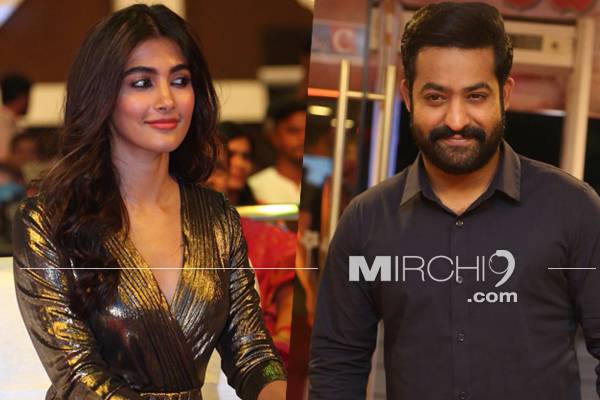 Ahead-of-Shooting,-Pooja-Hegde-Is-Scared-of-Jr-NTR