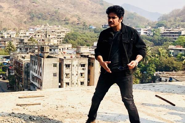 Nagarjuna-Takes-RGV-into-Profit-Zone!