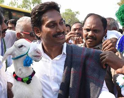 Jagan Reaches Half Way in Maha Padayatra
