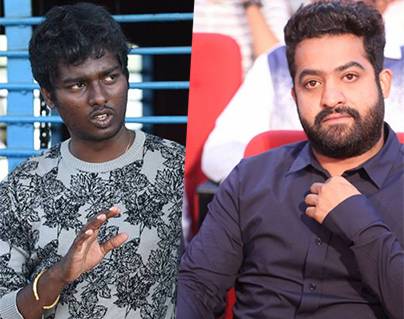 Back To Back Jr NTR Rejects For Top Hero?