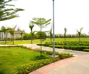 Greenery-at-Amaravati-Secretariat
