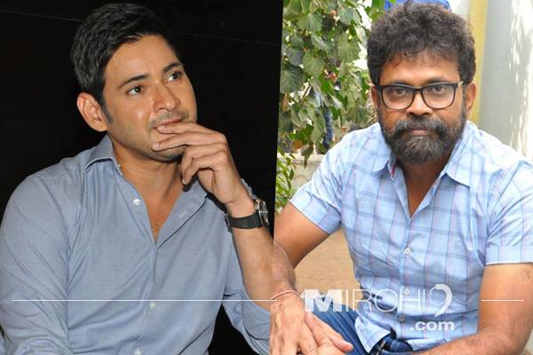 Mahesh Babu Assurance on Sukumar's Risky Logic