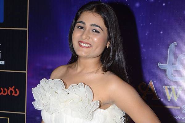 Shalini Pandey next movie with mahesh babu