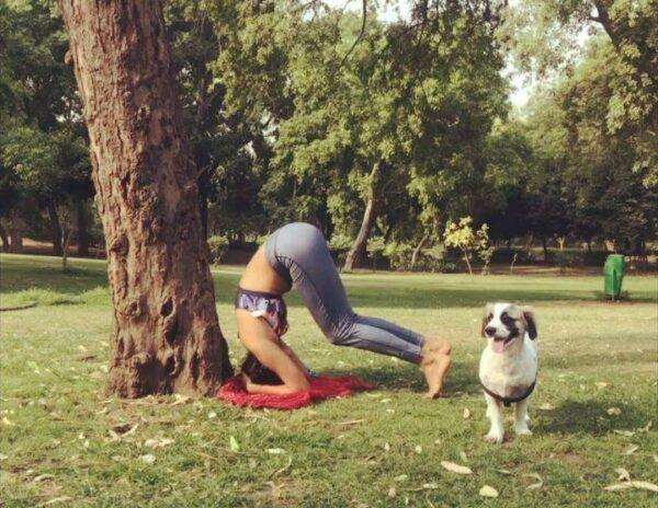 Amala Paul Yoga practice