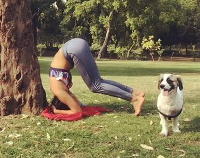 Amala Paul Yoga practice