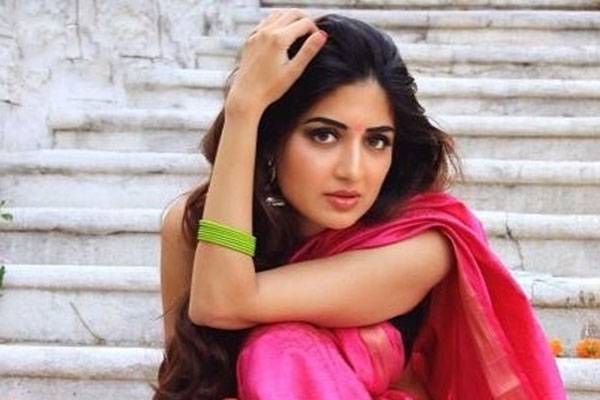 Poonam Kaur Lal controversial tweets director-