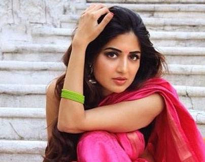 Poonam Kaur Lal controversial tweets on unknown director-