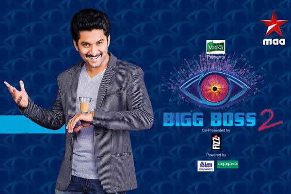 Bigg Boss 2 Telugu (2)