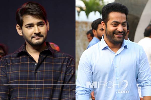 Jr NTR - Mahesh babu - New Look