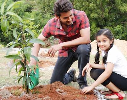Mahesh Babu Accepted Haritha Haram Challenge