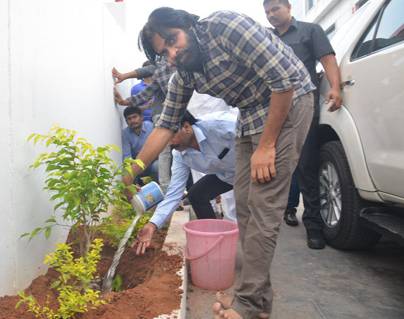 Pawan-kalyan--Haritha-Haram