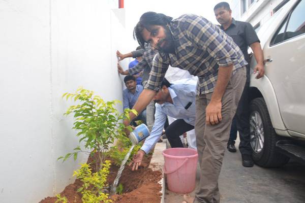 Pawan-kalyan-Haritha-Haram