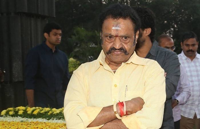 Harikrishna likes Punganur cow