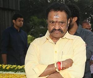 Harikrishna likes Punganur cow