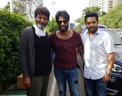 Small-But-Value-Addition-to--Jr-NTR-Trivikram-Movie