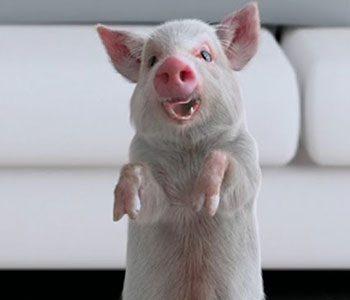 Teaser Talk: Okay Teaser for Different Film