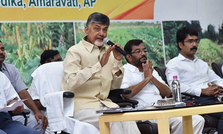 Court rejects chandrababu-- naidu plea