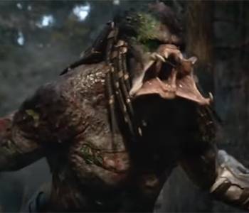 The Predator