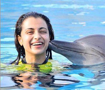 Trolls-Got-the-Better-of-Trisha,--Again!