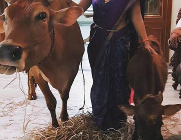 If-Not-For-Sri-Reddy,-Who-Will-Do-It-for-a-Rented-House