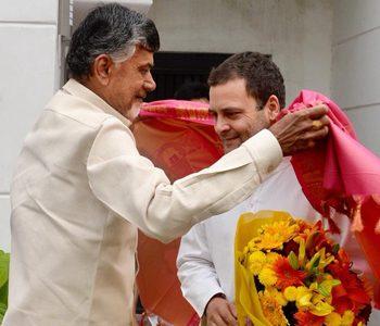 Chandrababu Naidu, Rahul Gandhi, TDP, Congress