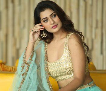 Payal Rajput Needs One Big Film to Change Her Fate