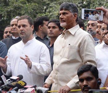 Rahul Gandhi - Chandrababu Naidu