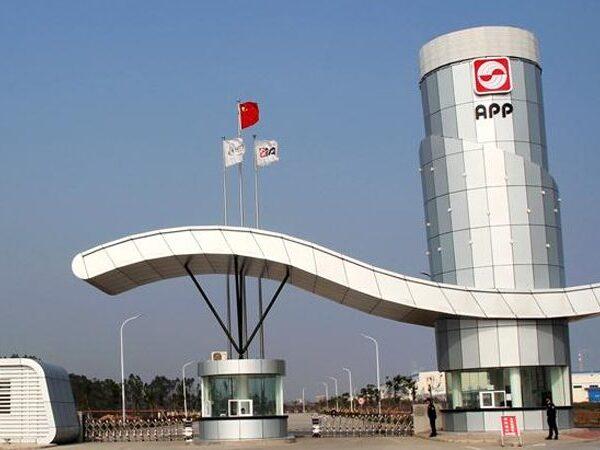 Asia Pulp & Paper