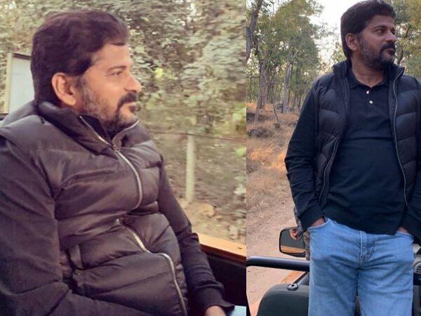 Revanth Reddy Holidaying Pench Tiger Reserve Forest-