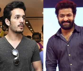Akhil Akkineni - Mr Majnu - Jr -NTR