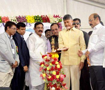 Chandrababu Naidu Inaugurates Kurnool Solar Mega Park