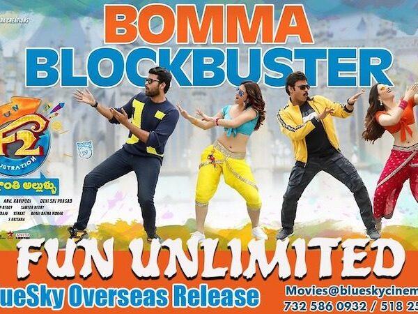 F2 – Fun and Frustration Movie USA Collection