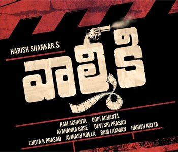 Risky Project Titled 'Valmiki'