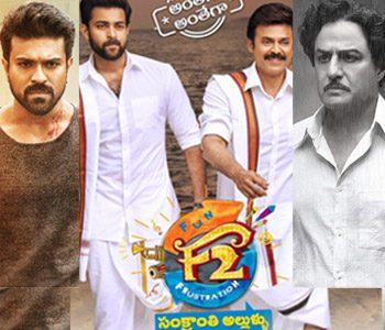 Sankranthi-2019--Estimated-Profit-And-Loss-Report