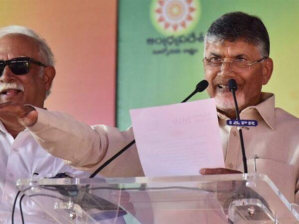 TDP contestants list for 2019 elections
