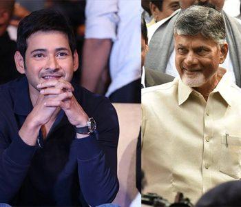 Mahesh Respects Chandrababu - Namrata