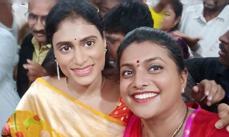 ys-sharmila-to-campaign-for-ysrcp