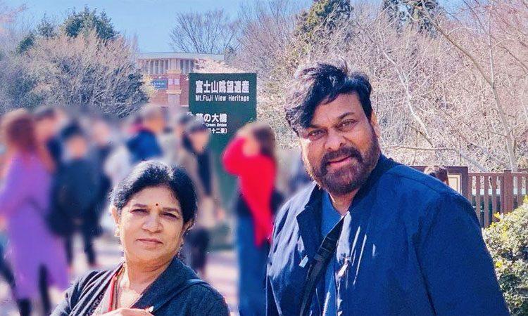 Chiranjeevi - Surekha