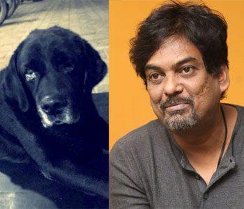 Purijagannadh Dog died