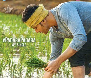 Finally, Some Relief to Stressed Fans