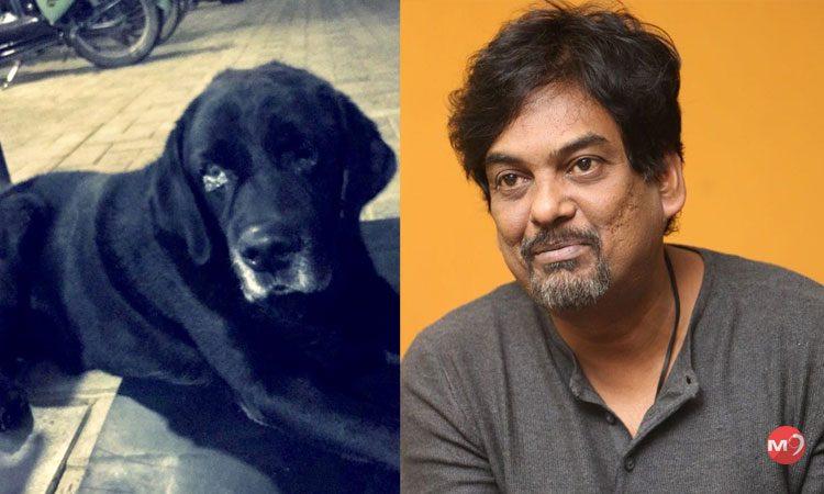 Purijagannadh Dog died