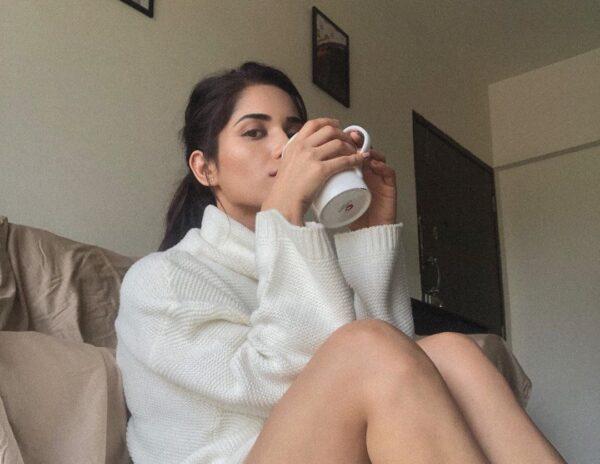 Ruhani Sharma Desperate Attempts for Social Media Following