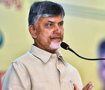 Does-TDP-Really-Need--A-Political-Strategist
