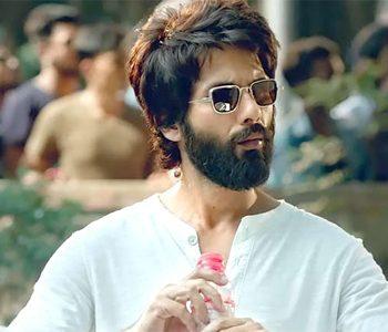 Kabir Singh box office records